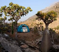 Socotra Truly a once in a lifetime adventure, and I'm excited