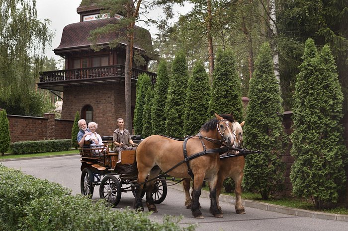 Из кареты — в квартиру: каретная стяжка в интерьере (52 фото)