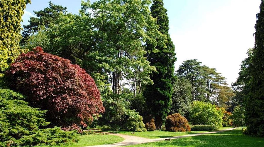 the gables hotel attractions