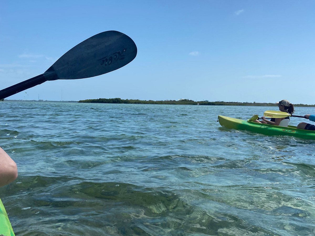 Florida Keys Kayaks and Eco Tours - All You Need to Know BEFORE You Go  (2024)