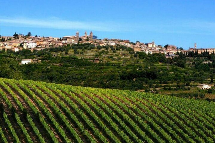 THE 10 BEST Province of Arezzo Wine Tasting Tours Updated 2024