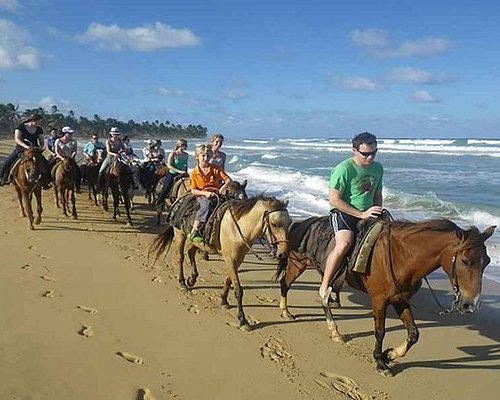 tours from punta cana