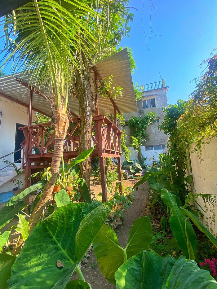 AHAU TIKAL Flores Hostel Reviews Photos Rate Comparison Tripadvisor ahau-tikal-flores-hostel-reviews-photos-rate-comparison-tripadvisor