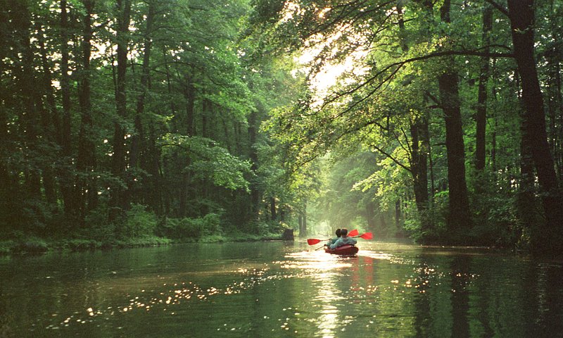 Two people in kayak flanked by lush forest 