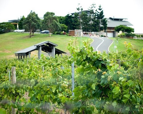 winery tours in brisbane