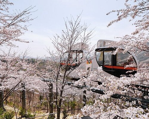 chuncheon city tour bus