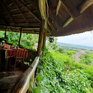 Dining close to nature