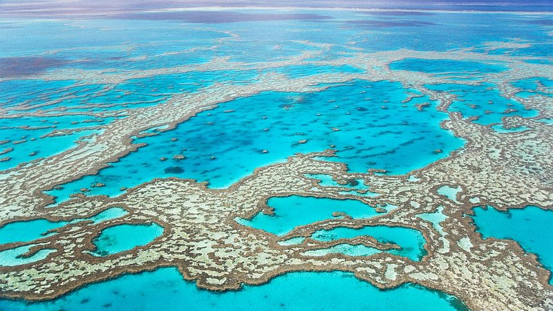 Aerial view of the Great Barrier Reef, in Queensland