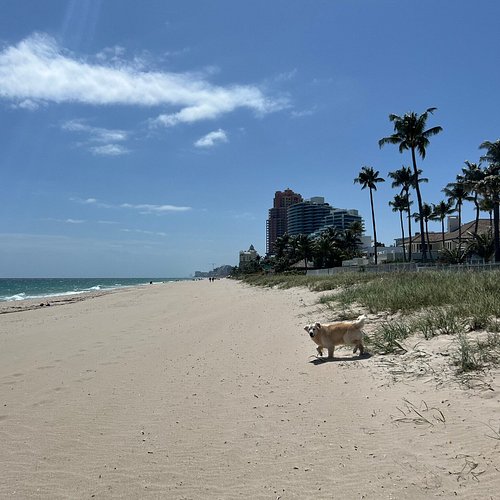 THE 10 BEST Fort Lauderdale Parks (Updated 2024) - Tripadvisor