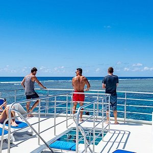 calypso reef cruises discount