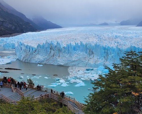 se permiten perros en el desierto del pico glaciar