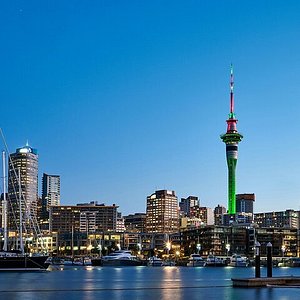 sailing yacht cruise on auckland harbour with dinner