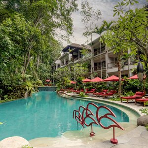 Main Pool area