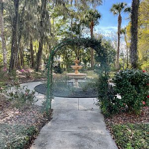 2023 Fireflies experience at Blue Spring State Park in Orange City -  Volusia County Moms