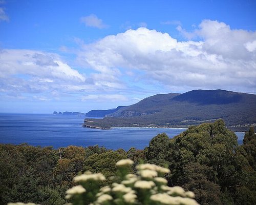 tours in hobart