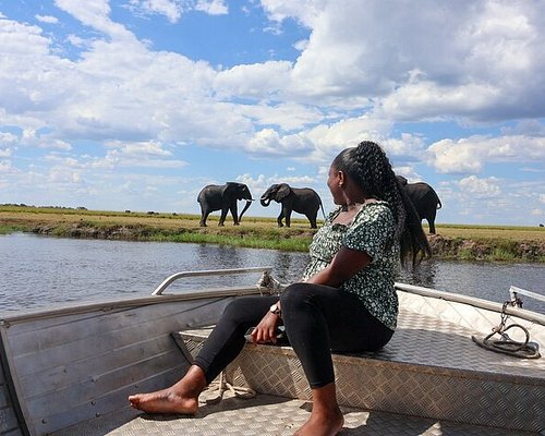 safari botswana en tente