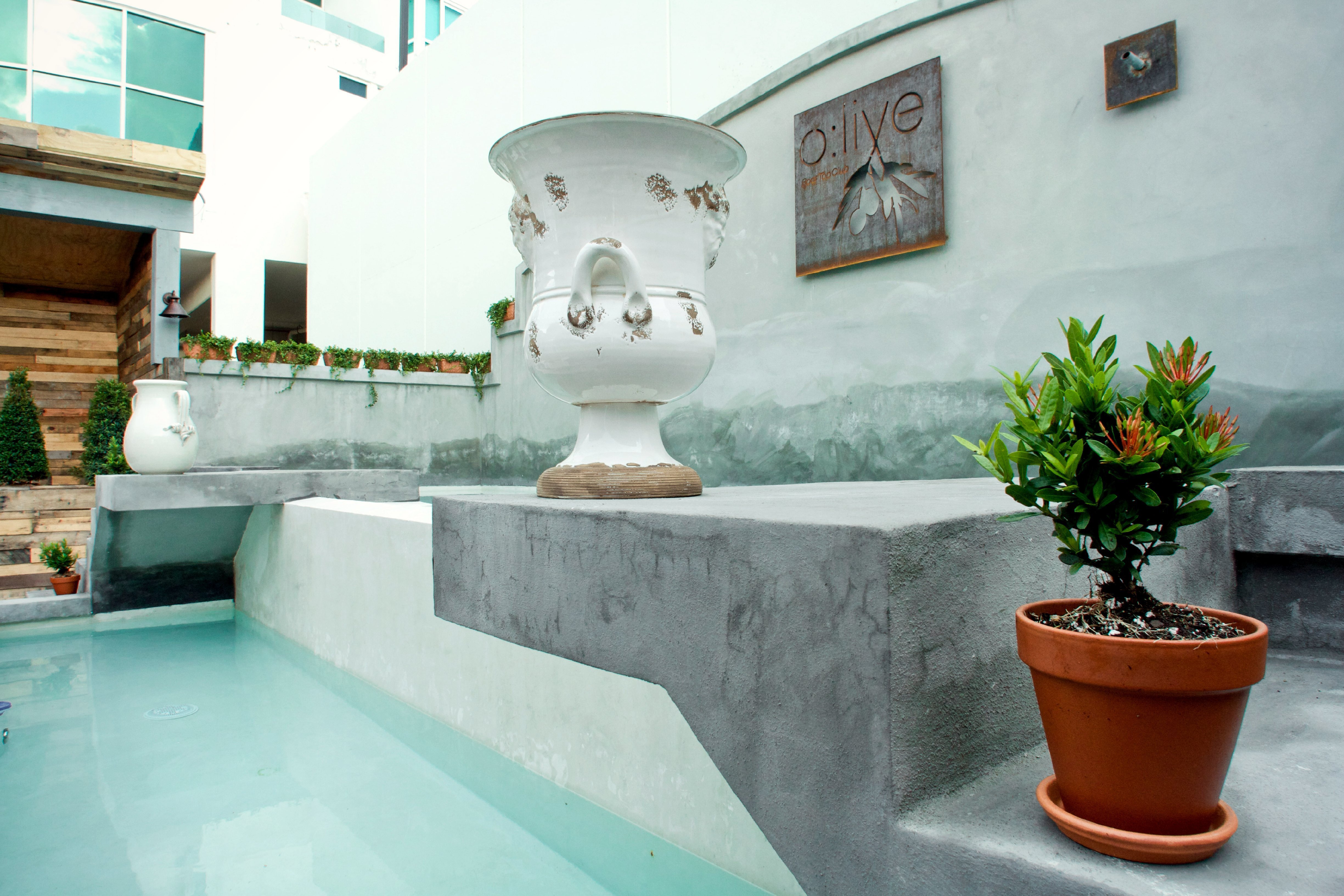 OLIVE BOUTIQUE HOTEL Updated 2024 Prices Reviews San Juan