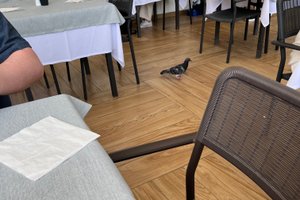 식사