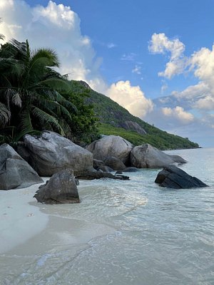 Club Med Seychelles - Resort - Outdoor area - Saint Anne (Seychelles) -  Photo 190
