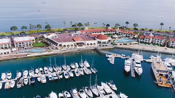 They're Here! Port of San Diego Celebrates Arrival of All-Electric