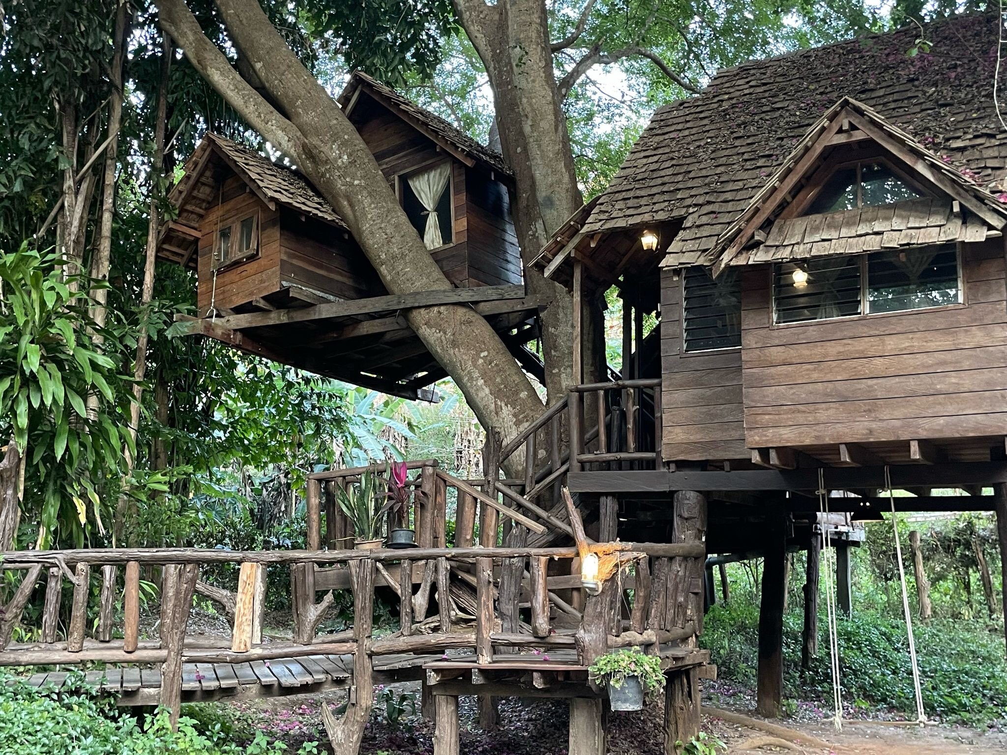 Rabeang Pasak Tree House Resort - UPDATED 2024 Reviews & Photos