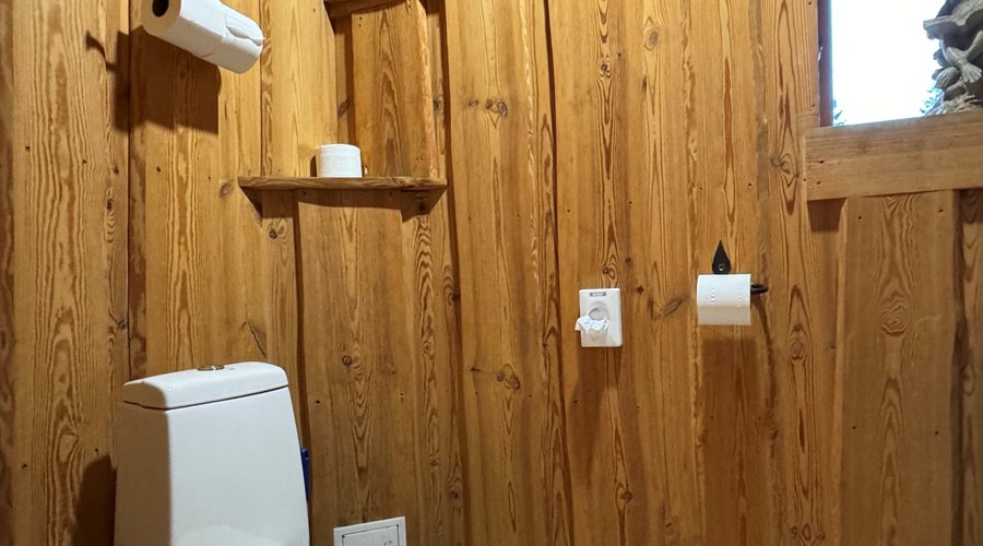 Sauna with wood burning Russian heater_Toosikannu_wc