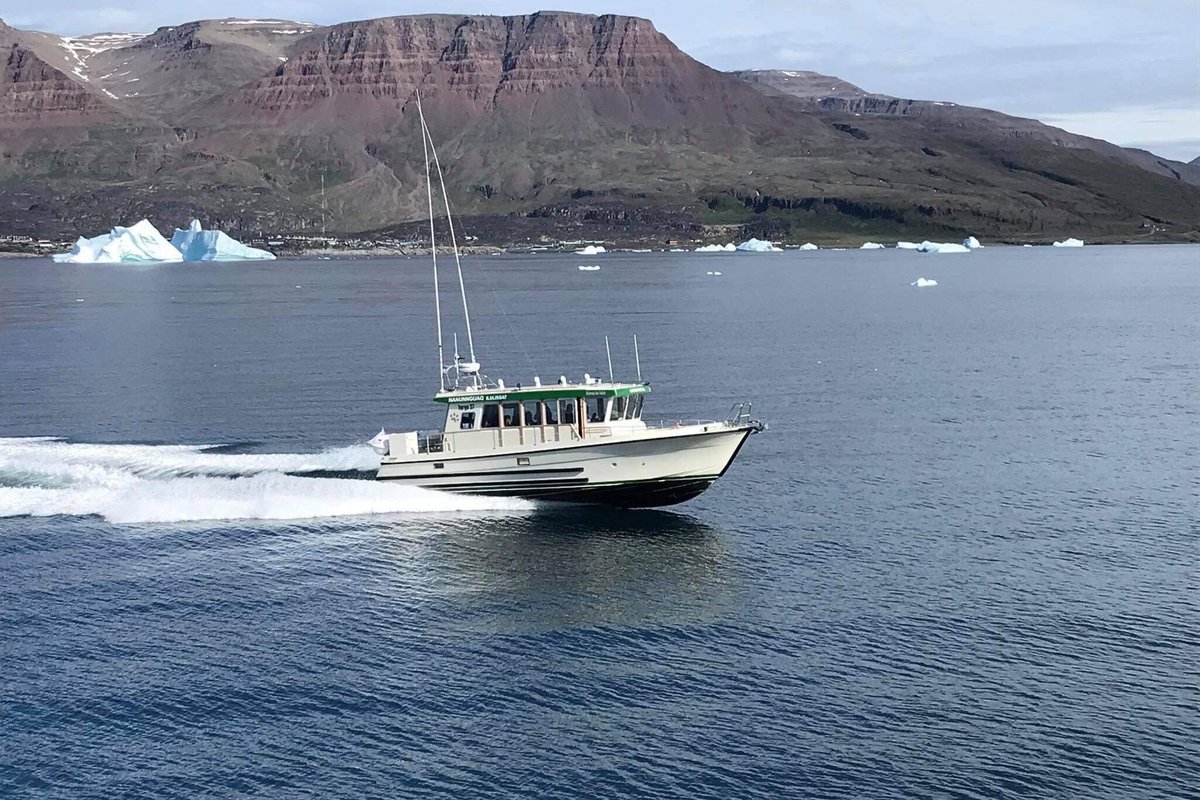 Naleraq Sea Safari ApS (Ilulissat, Greenland): Hours, Address - Tripadvisor