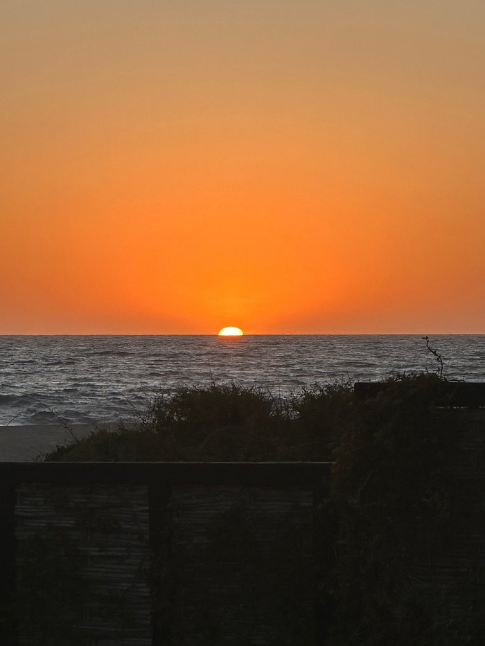 Pesca de Sábalo - Picture of Barra del Colorado Wildlife Refuge, Province  of Limon - Tripadvisor