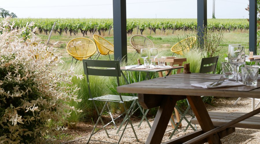Terrasse vue vignes, exposée plein sud 