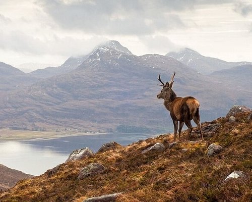 sightseeing highlands tours