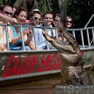 swamp tours crown point louisiana