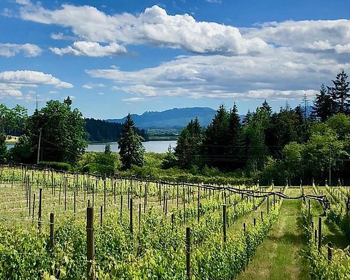 cowichan valley wine tour reviews