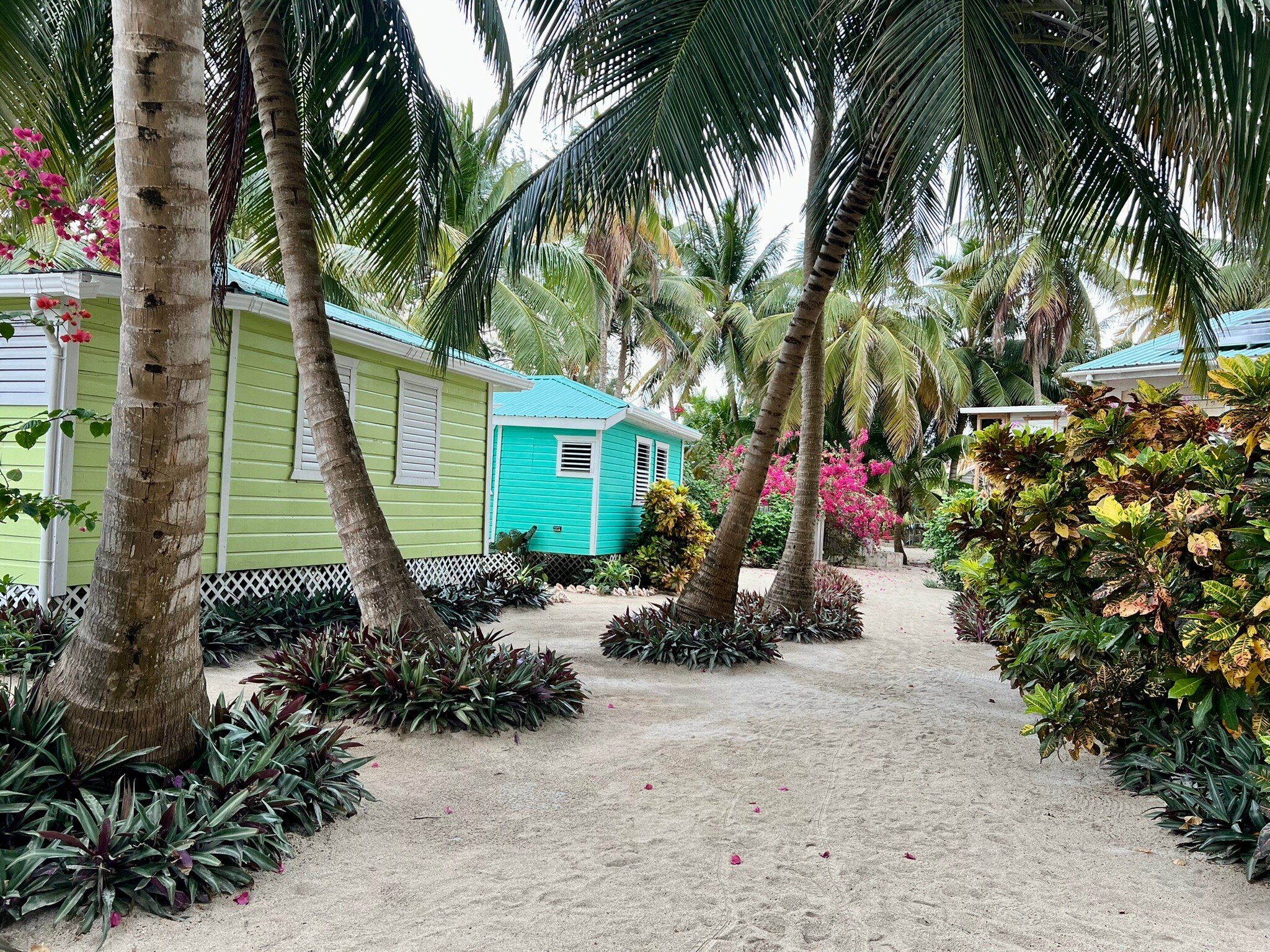 REEF'S END LODGE (Tobacco Caye, Belice) - Opiniones Y Comentarios - B ...