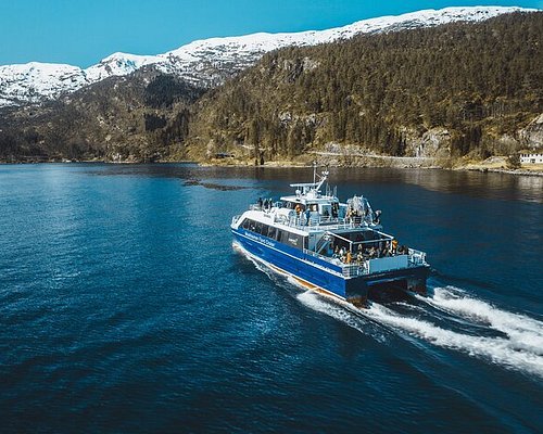 fjord day trip