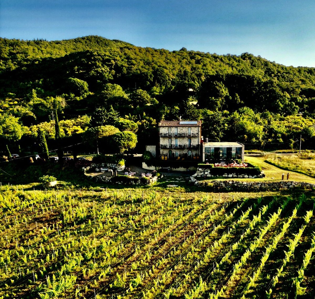 A dir poco imbarazzante - Recensioni su Valdonica Winery & Vineyard  Residence, Sassofortino - Tripadvisor