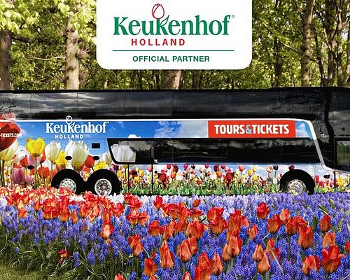 tour travel netherlands