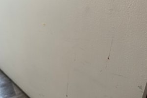 旅行者の写真