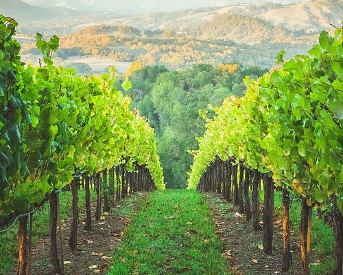 day trips from healdsburg ca