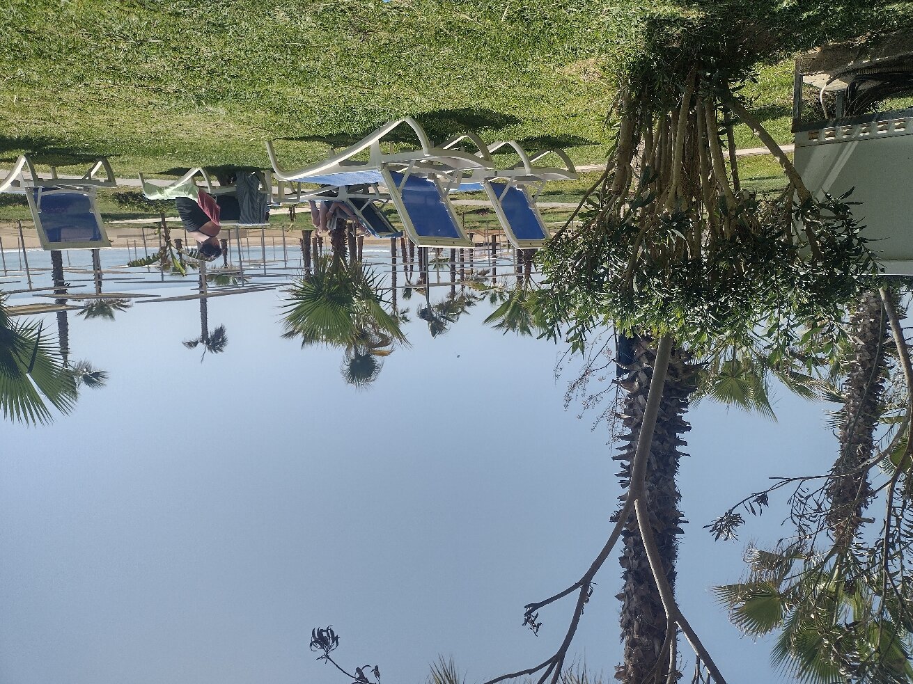 SURAL RESORT HOTEL $68 ($̶1̶4̶5̶) - Updated 2024 Prices & Reviews - Side, Türkiye SURAL RESORT HOTEL $68 ($̶1̶4̶5̶)... 