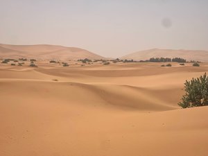 المسافر