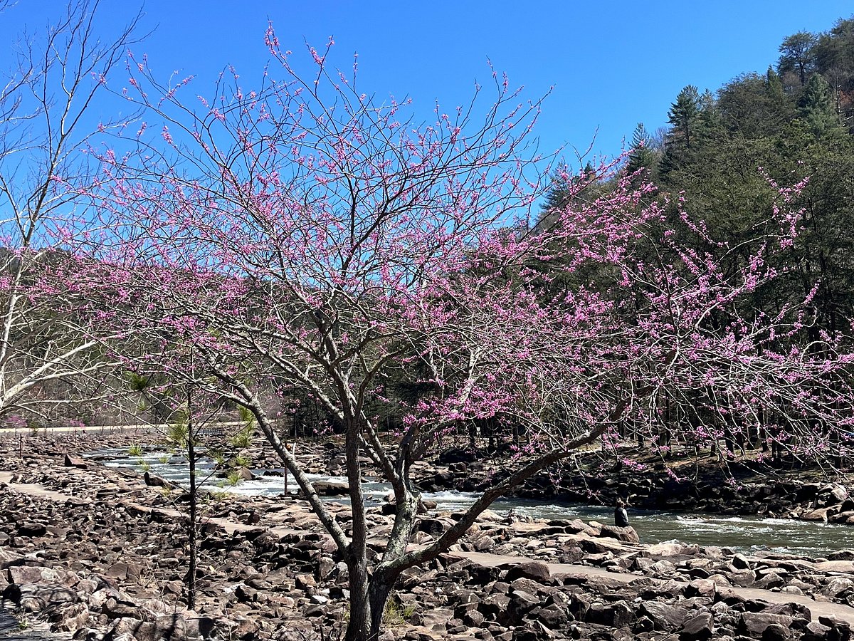 Ocoee Whitewater Center, Copperhill: лучшие советы перед посещением -  Tripadvisor