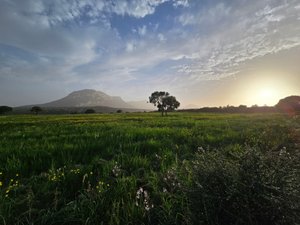 Viaggiatori
