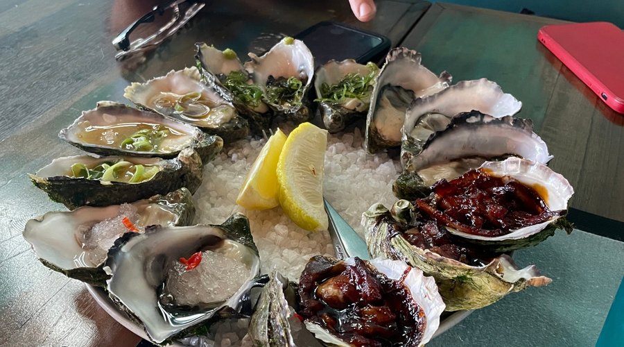 Best oysters we have ever had!