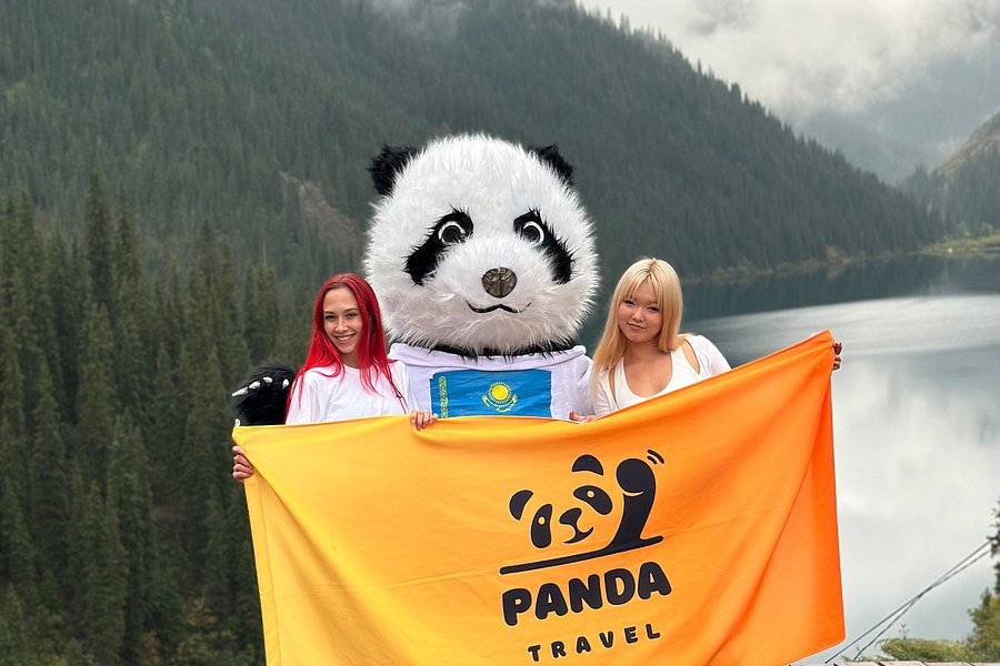 panda travel mart photos