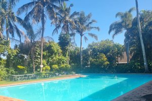 Pool & Beach