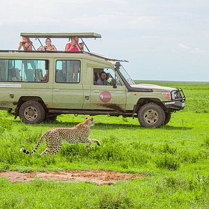 luxury safari lodges in tanzania