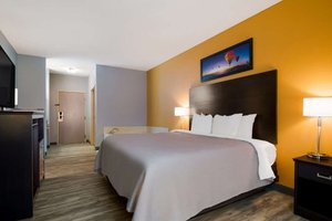 Room & Suite