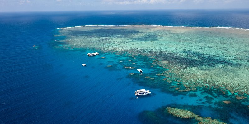 Overlooking view of the Norman reef in Great barrier Reef, Cairns, Australia