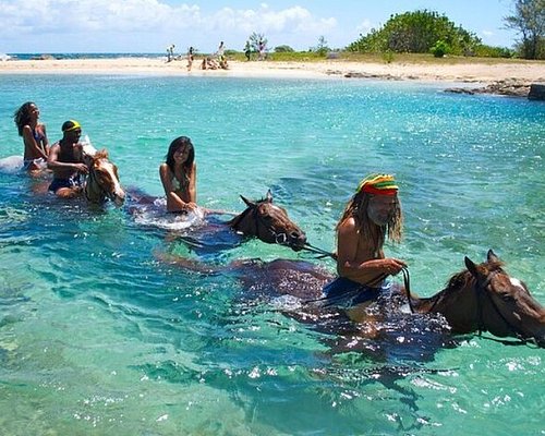 guided tours jamaica