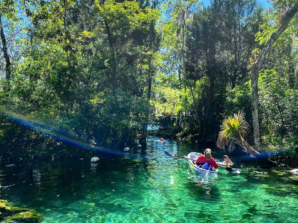 Get Up And Go Kayaking - Crystal River